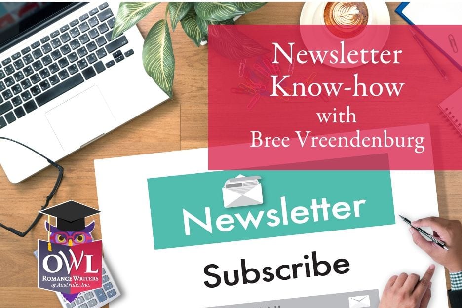 NOVEMBER OWLS | Newsletter Know-How by Bree Vreedenburgh